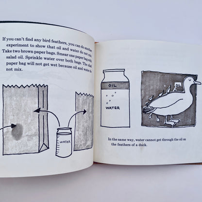 Ducks Don't Get Wet