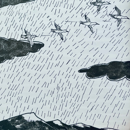 Ducks Don't Get Wet
