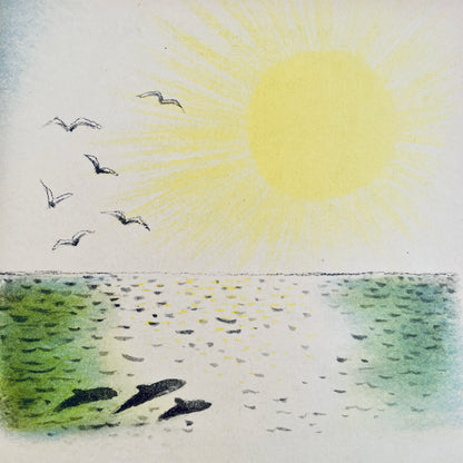Dolphin