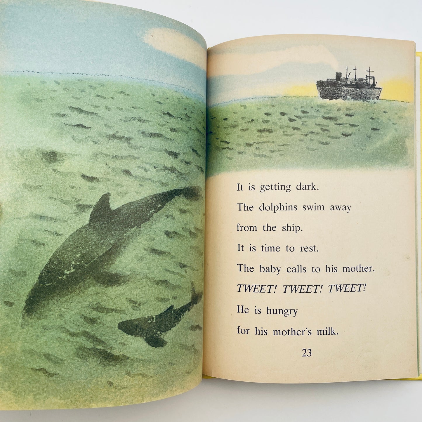 Dolphin