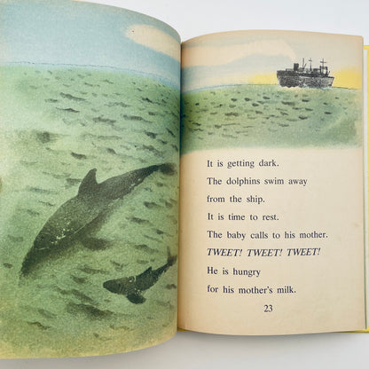 Dolphin