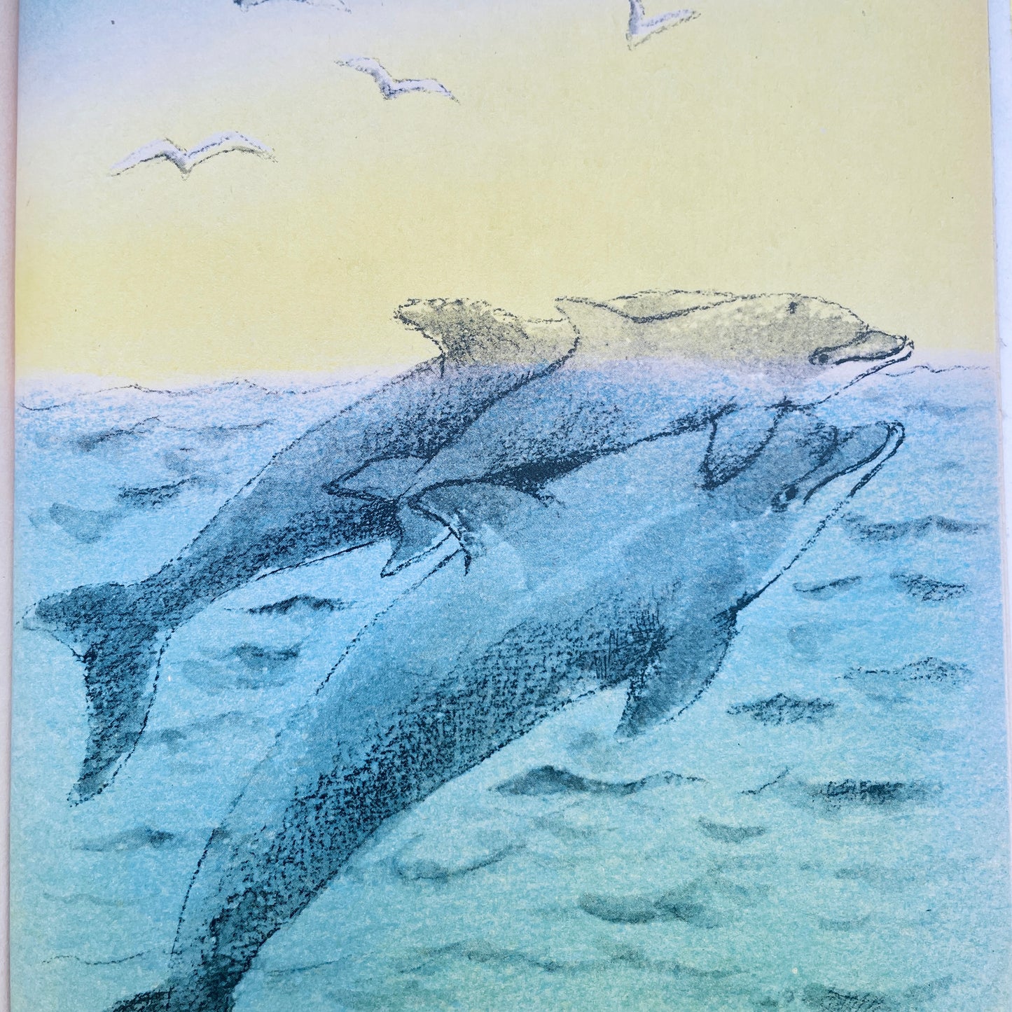 Dolphin