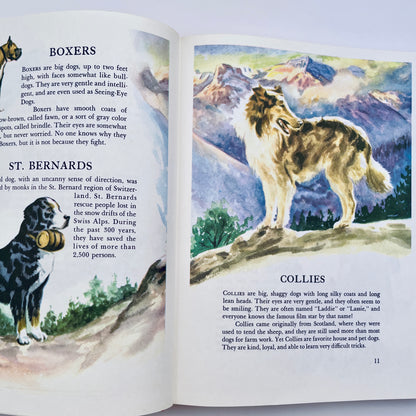 Wonders of Nature: A Child's Introduction to the World of Animals, Plants, Birds, Fish & Insects