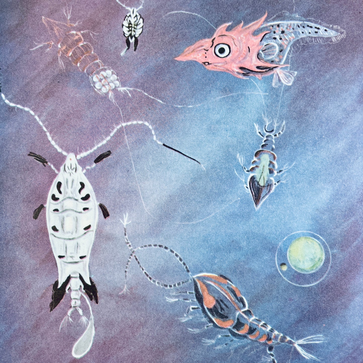 Wonders of Nature: A Child's Introduction to the World of Animals, Plants, Birds, Fish & Insects
