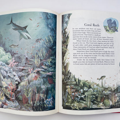 Wonders of Nature: A Child's Introduction to the World of Animals, Plants, Birds, Fish & Insects