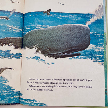 Whales