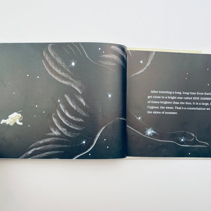 Journey Into a Black Hole