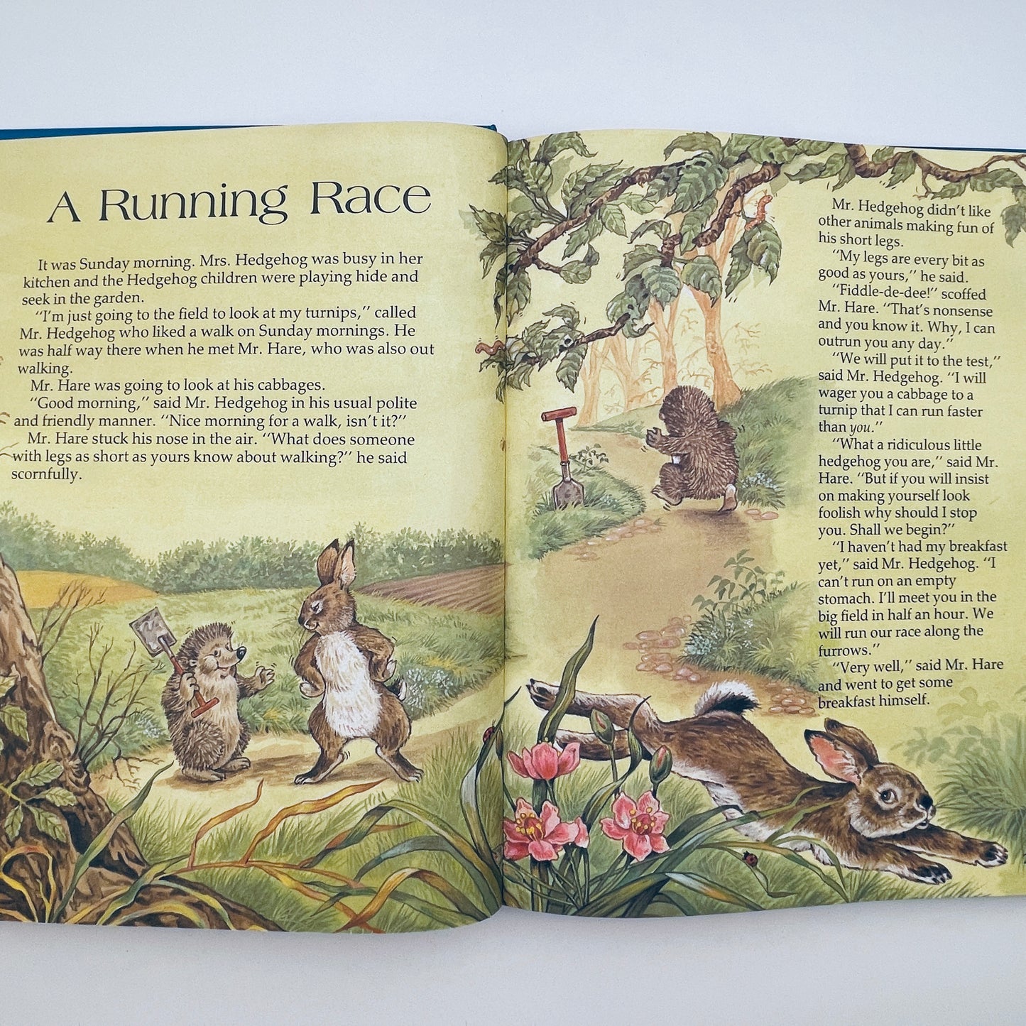 A Book of Dreamland Stories