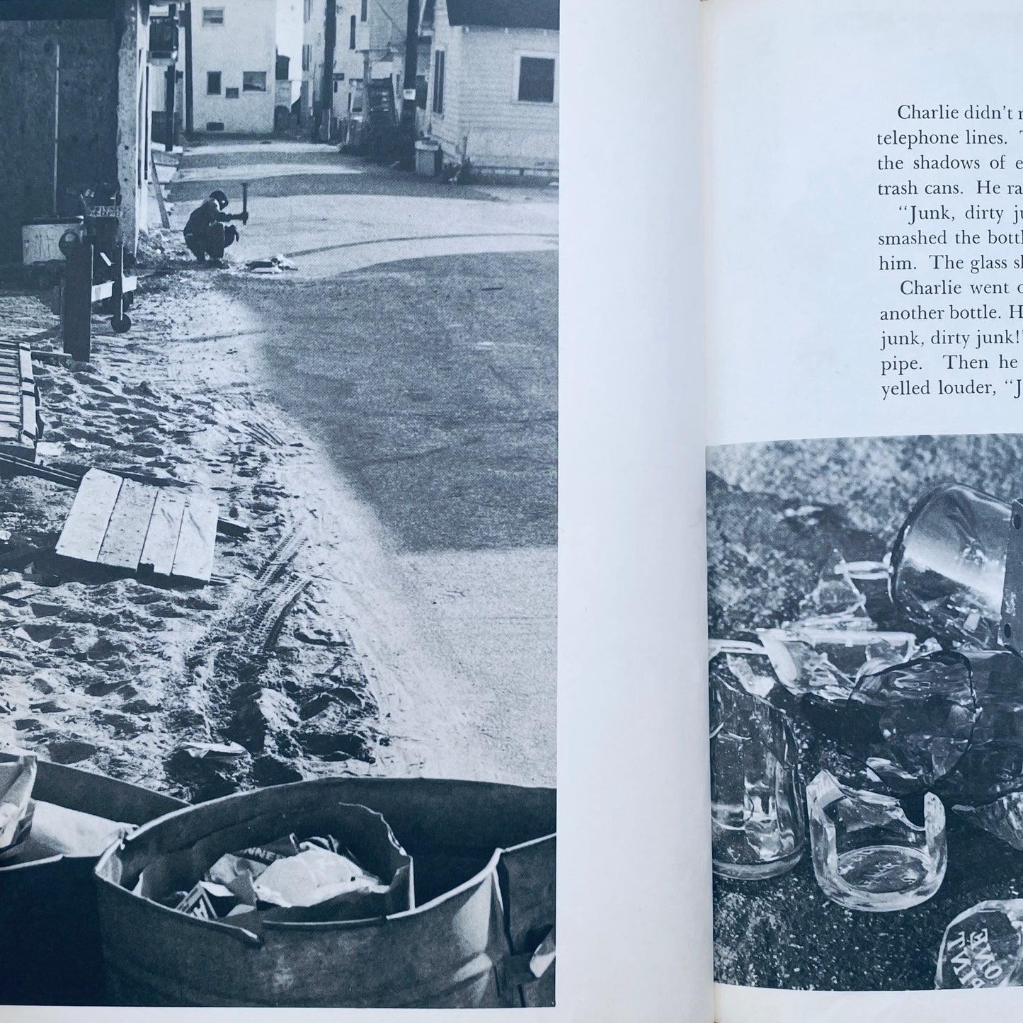 Beautiful Junk: The Story of Watts Tower