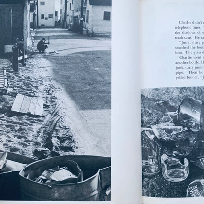 Beautiful Junk: The Story of Watts Tower
