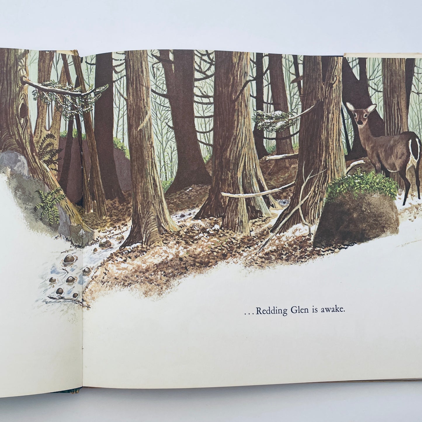 Secrets of Redding Glen: The Natural History of a Wooded Valley