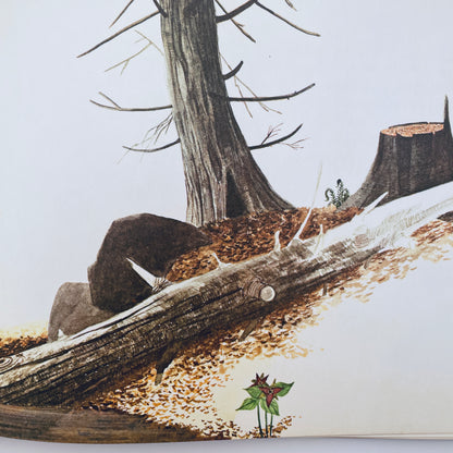 Secrets of Redding Glen: The Natural History of a Wooded Valley
