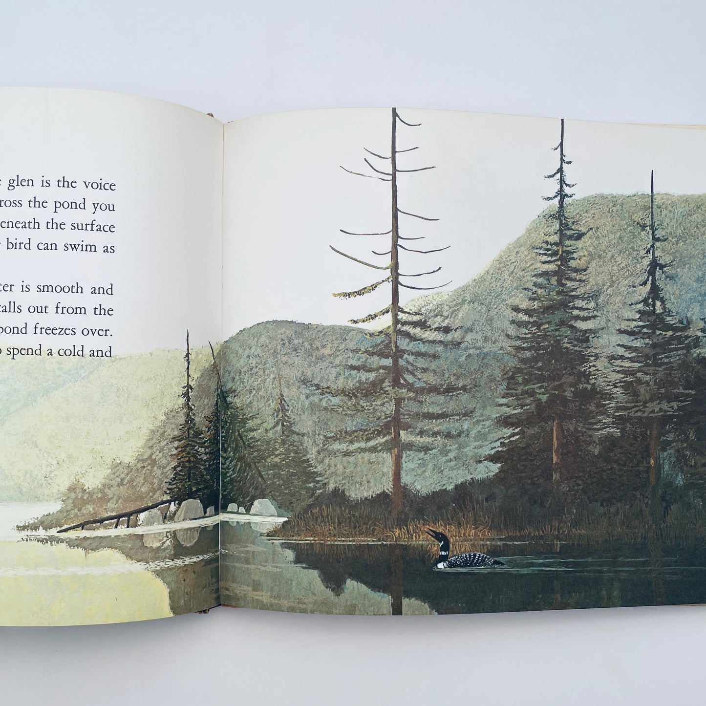 Secrets of Redding Glen: The Natural History of a Wooded Valley