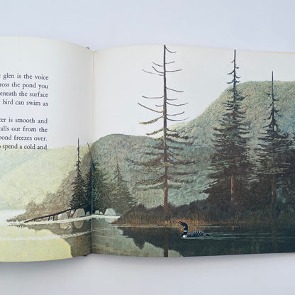 Secrets of Redding Glen: The Natural History of a Wooded Valley