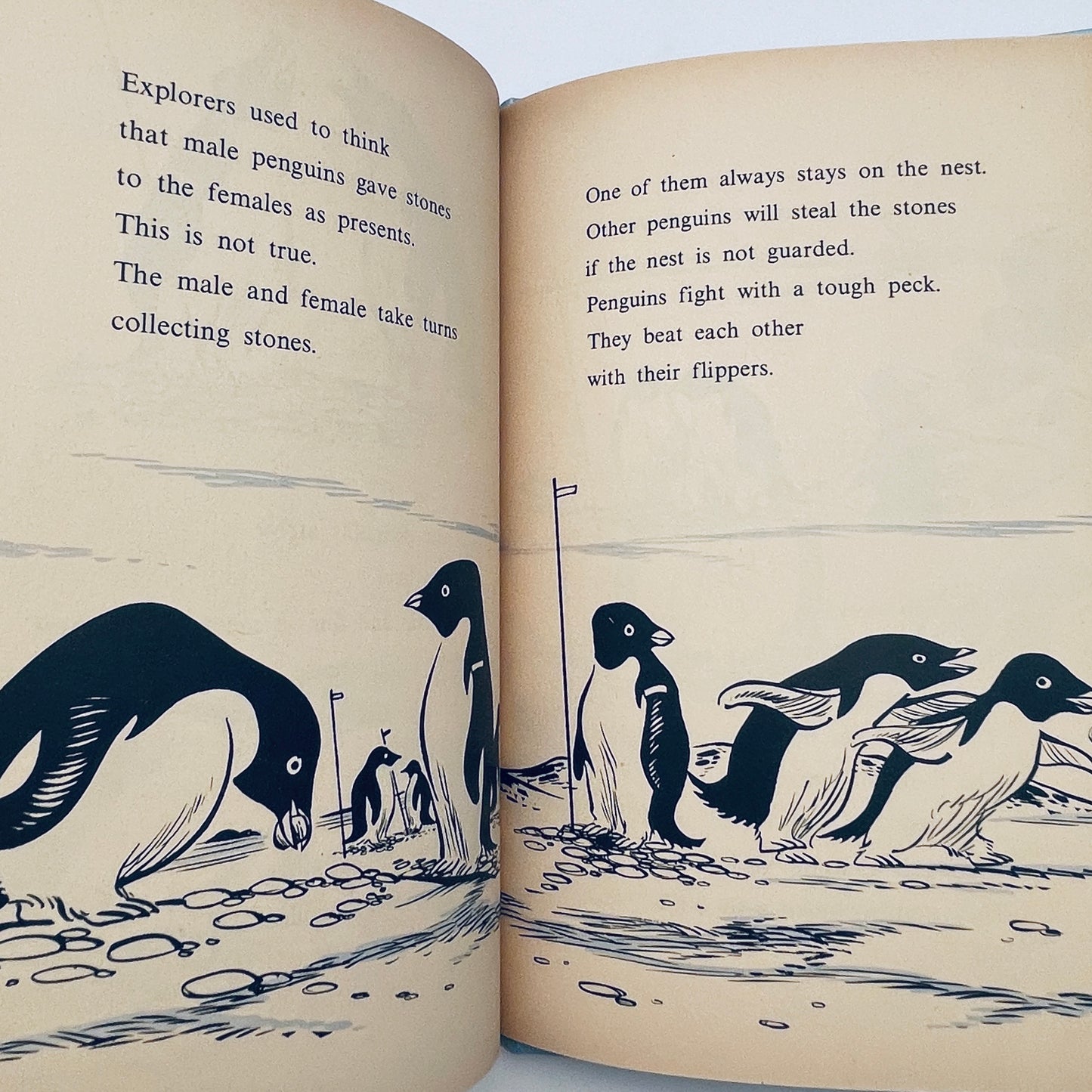 The Penguins Are Coming!