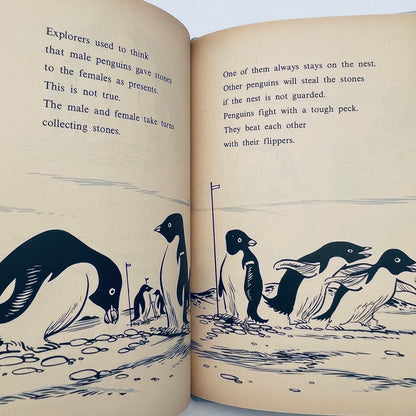 The Penguins Are Coming!