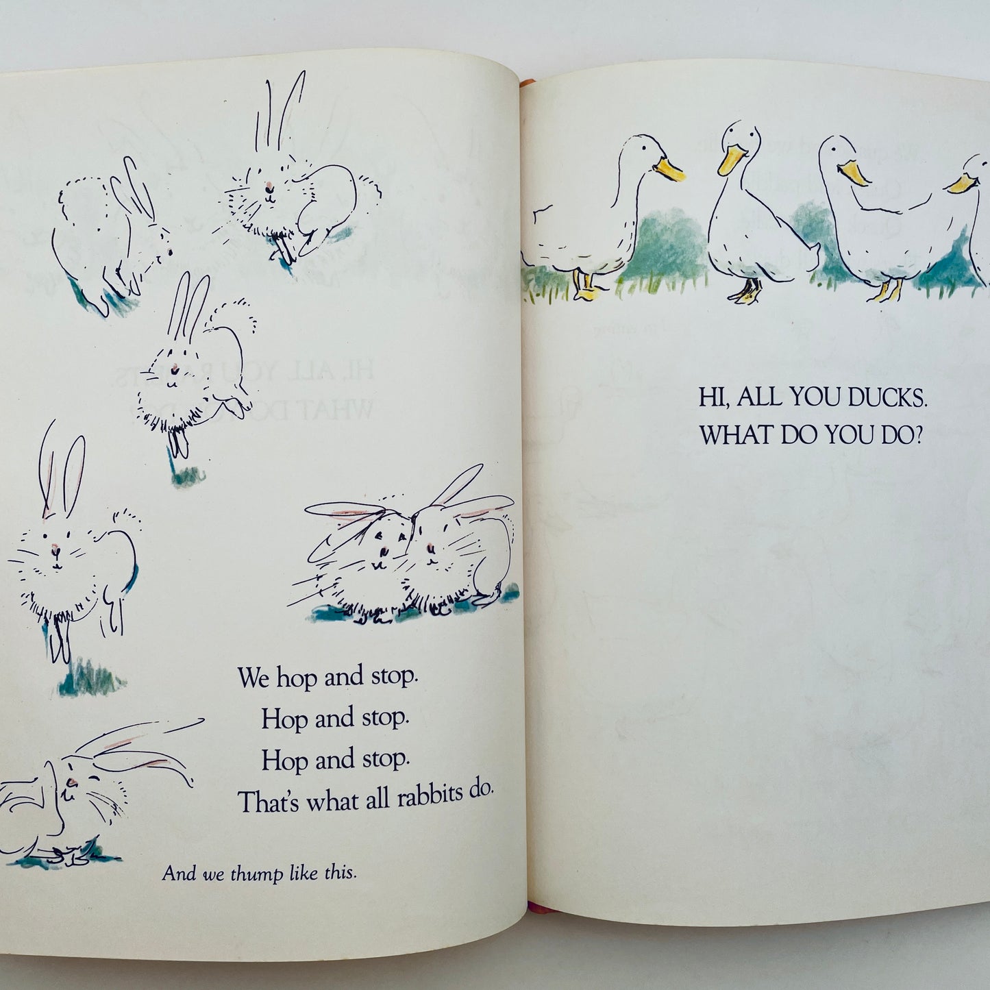 Hi, All You Rabbits