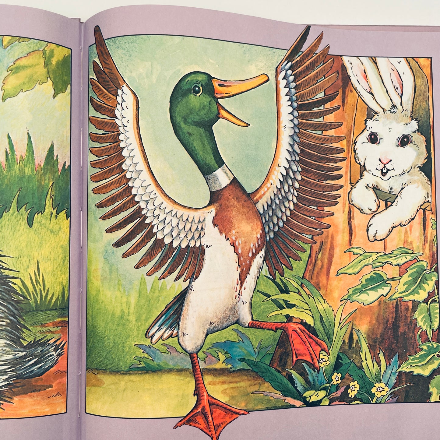The Little Rabbit who Wanted Red Wings