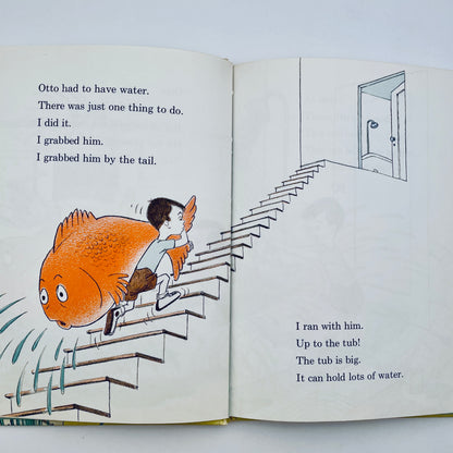 A Fish Out of Water
