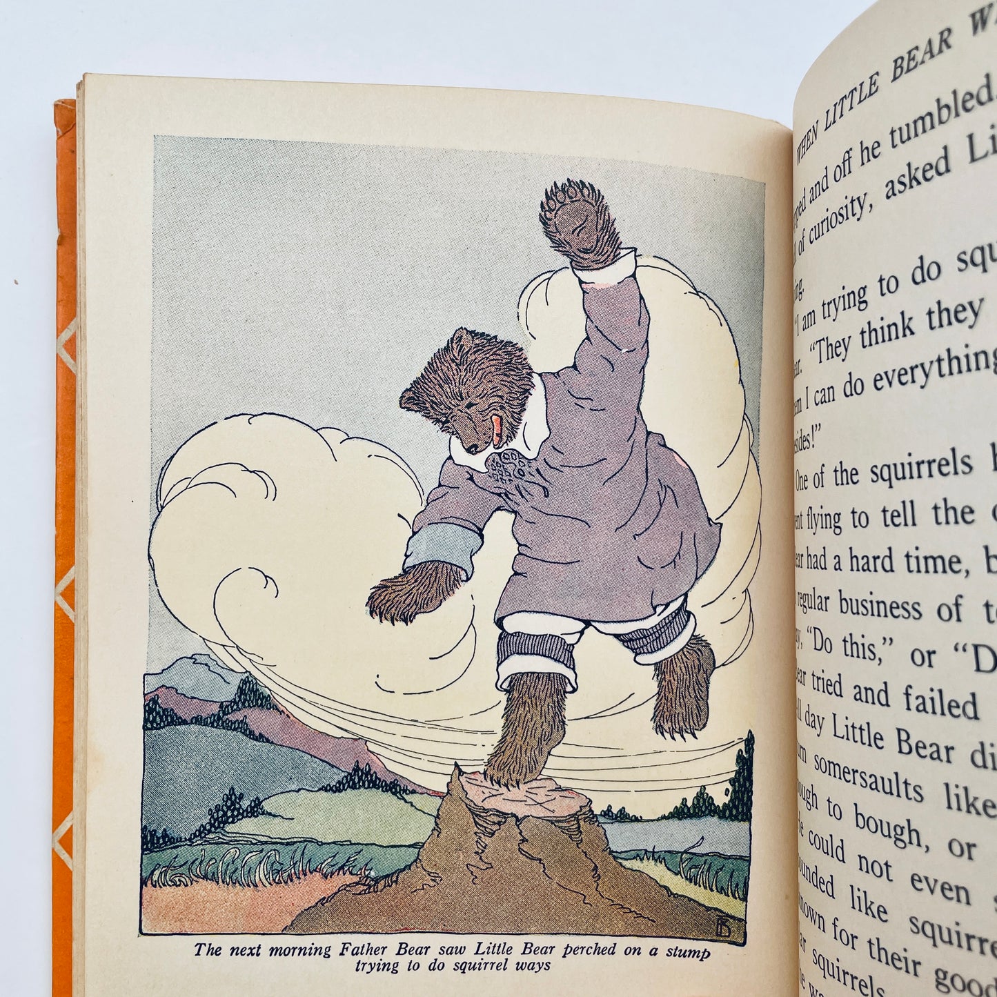 Little Bear's Ups and Downs