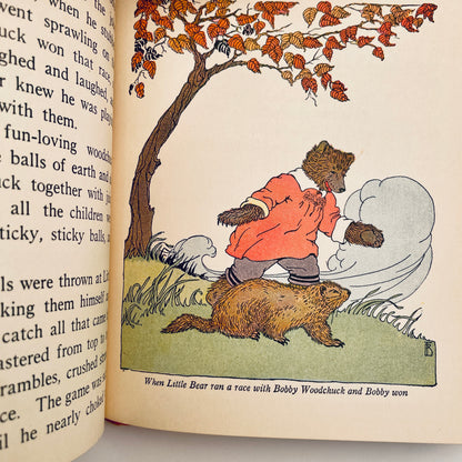 Little Bear's Ups and Downs