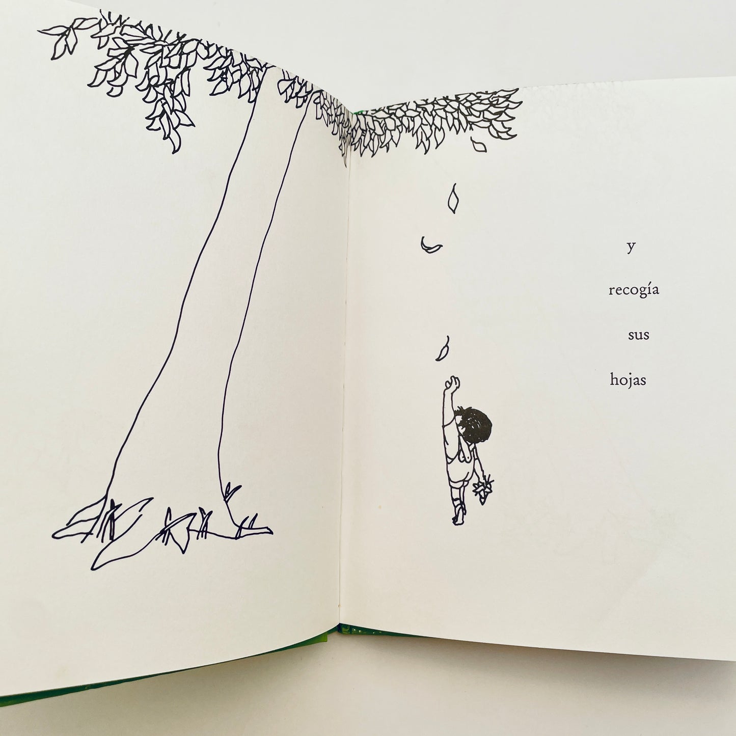 Et Arbol Generoso (The Giving Tree - Spanish)