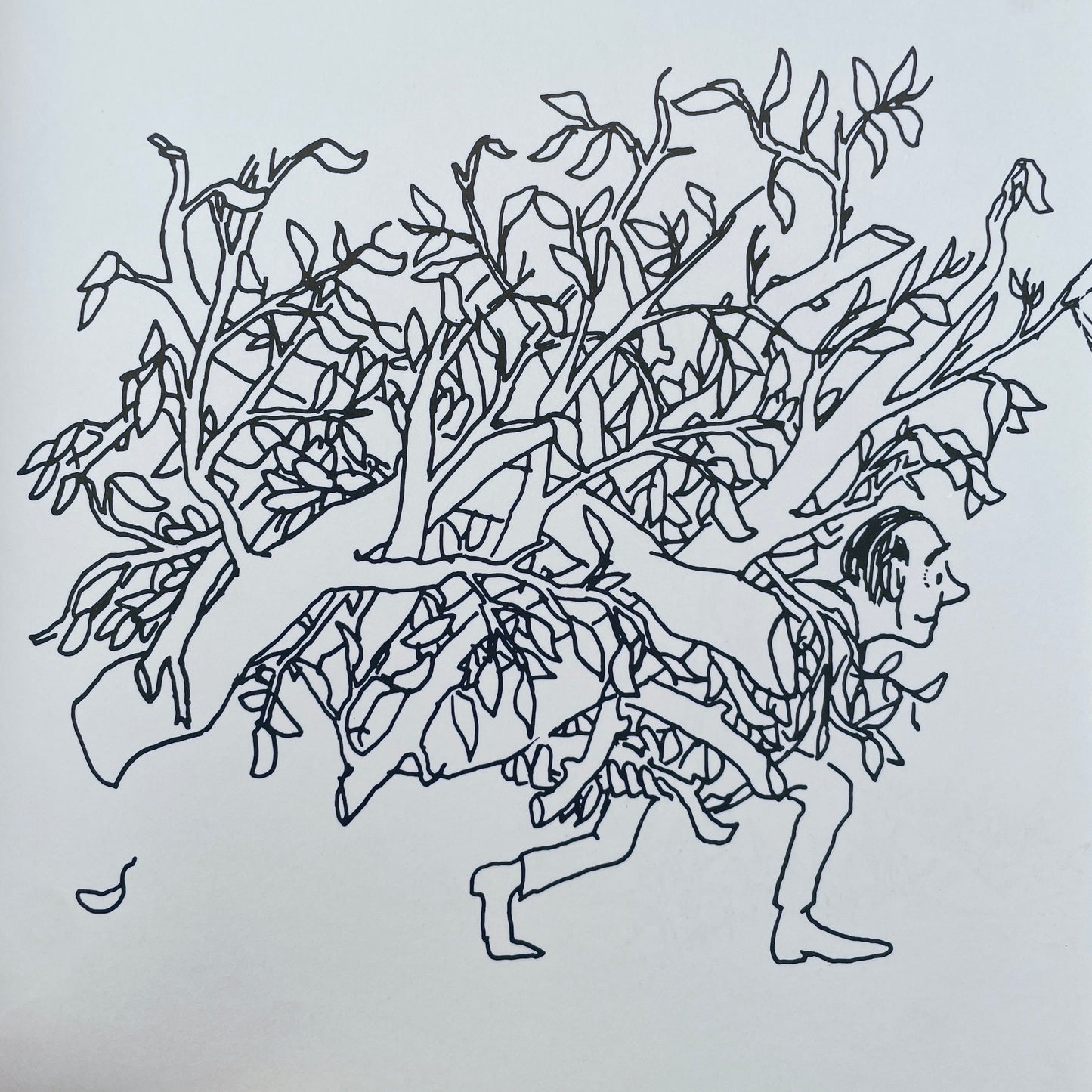 Et Arbol Generoso (The Giving Tree - Spanish)