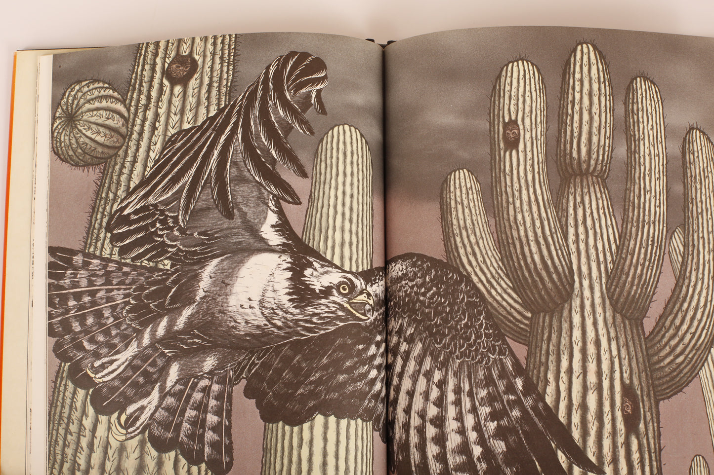 There's No Such Place As Far Away