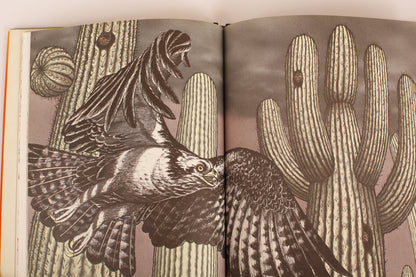 There's No Such Place As Far Away