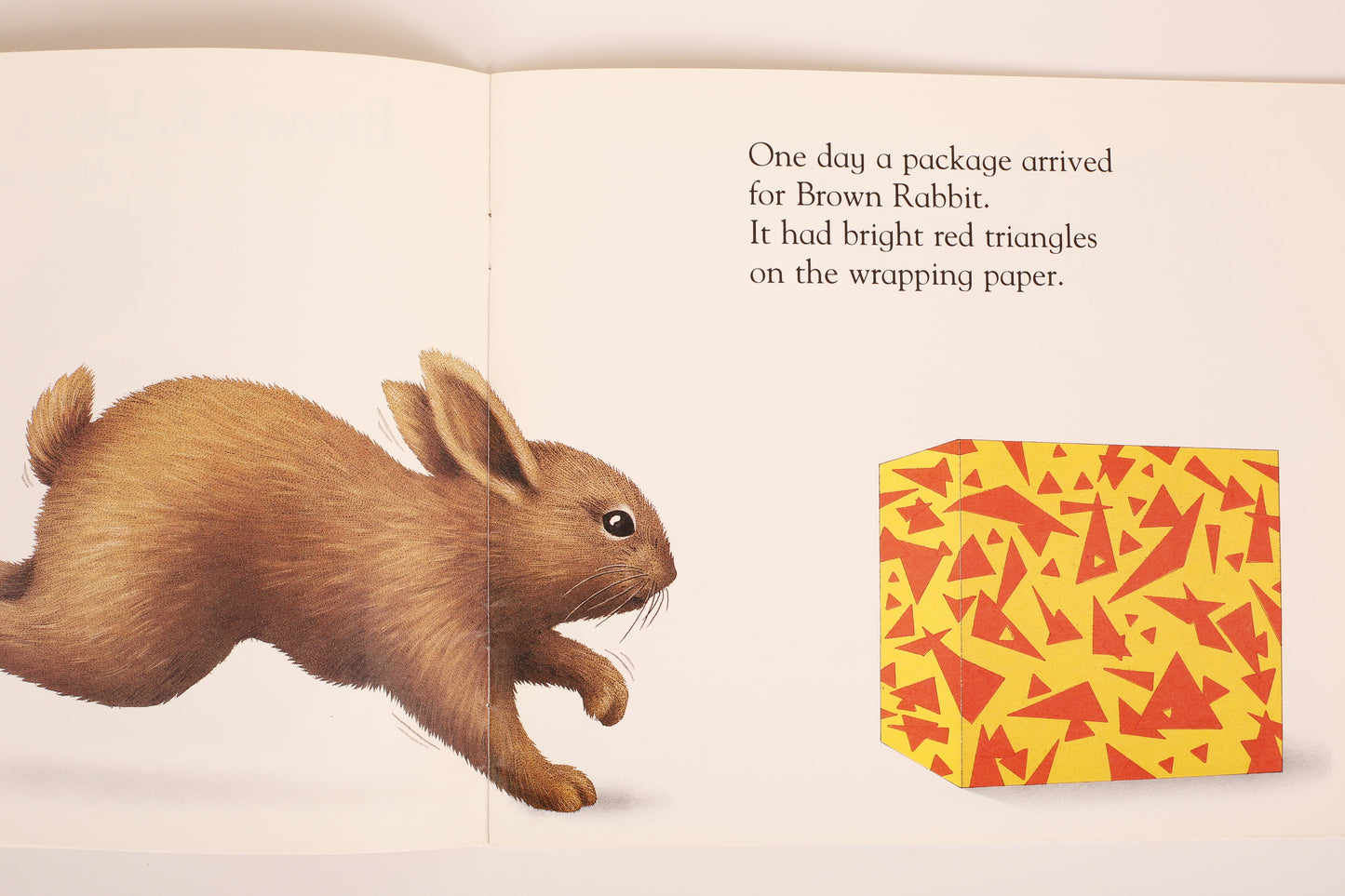 Brown Rabbit's Shape Book
