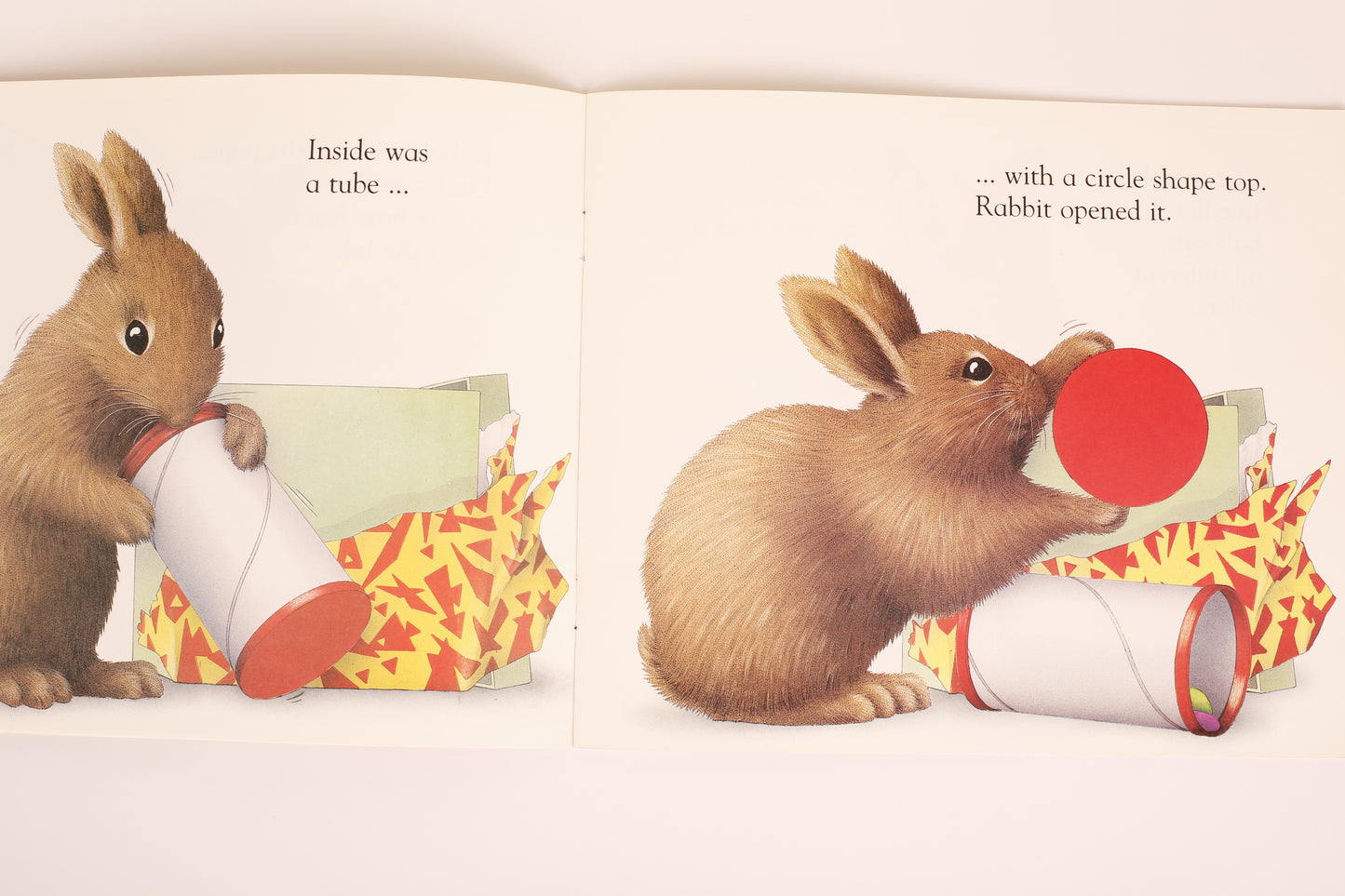 Brown Rabbit's Shape Book