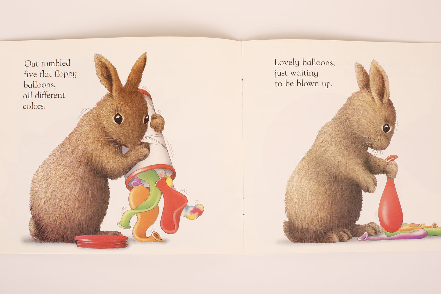 Brown Rabbit's Shape Book