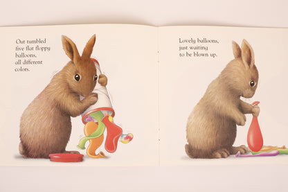 Brown Rabbit's Shape Book