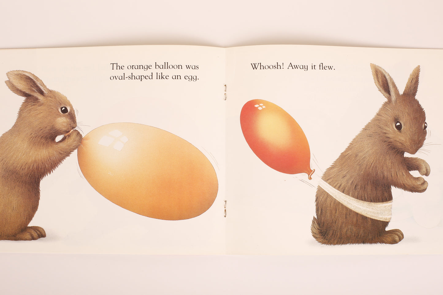 Brown Rabbit's Shape Book