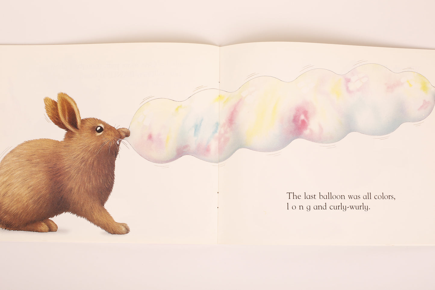 Brown Rabbit's Shape Book