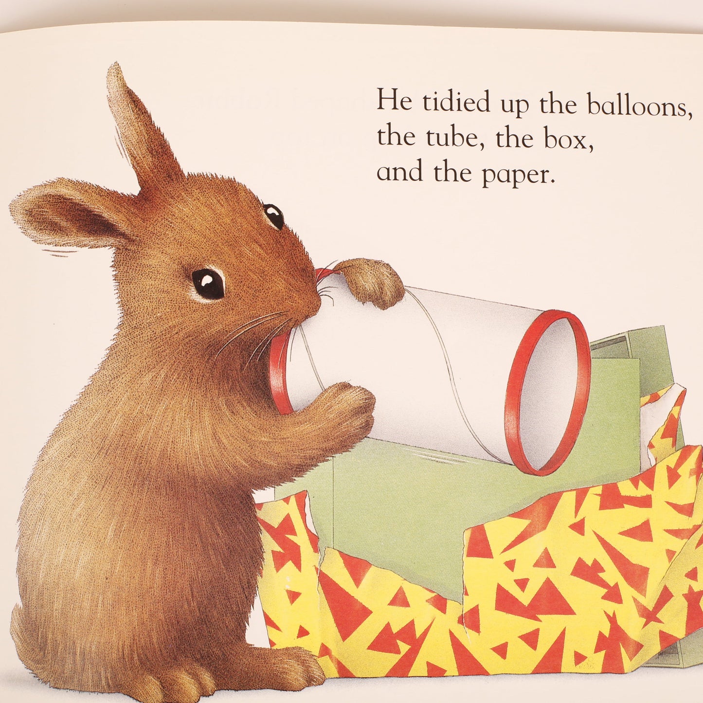 Brown Rabbit's Shape Book