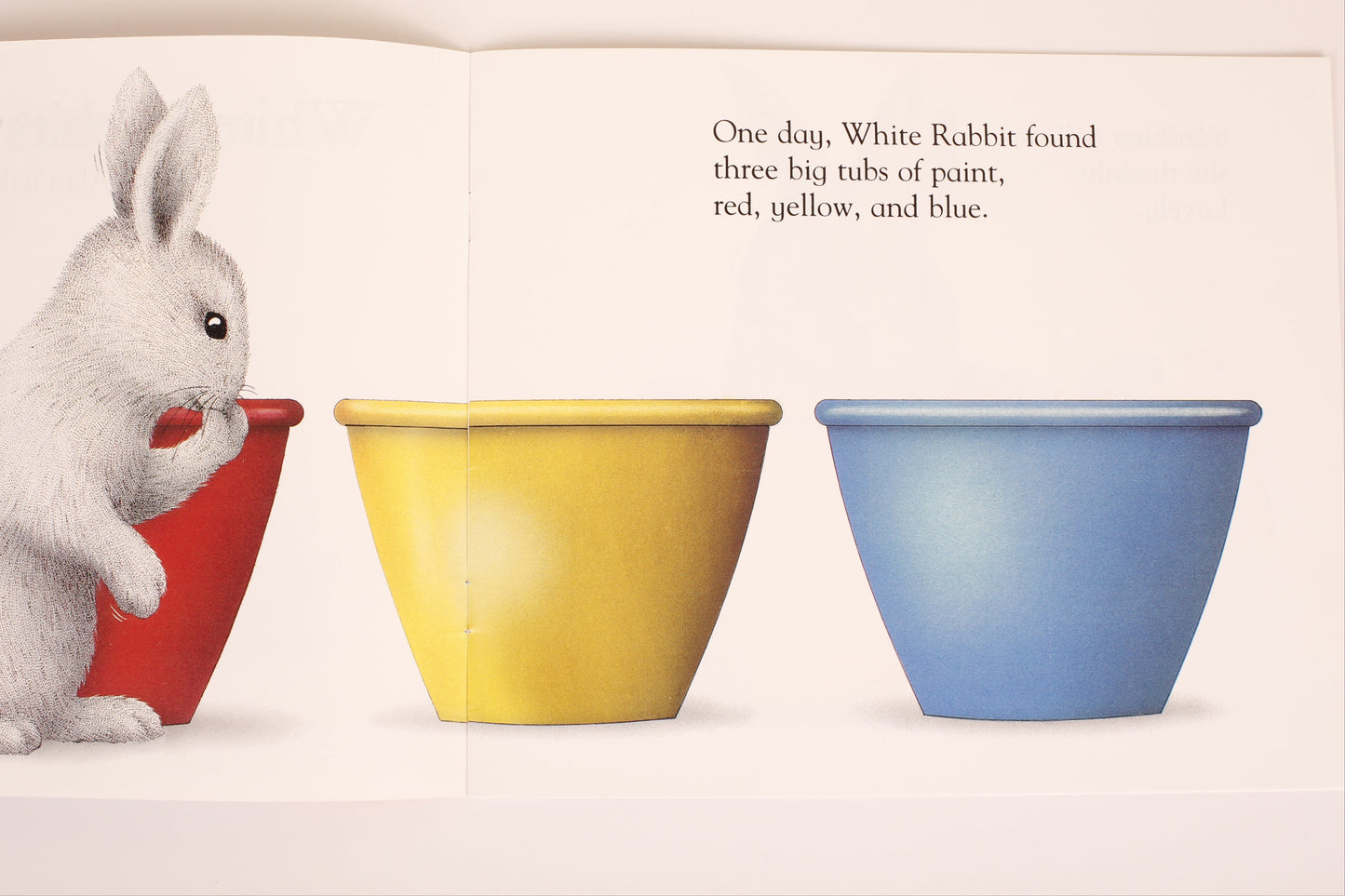 White Rabbit's Color Book