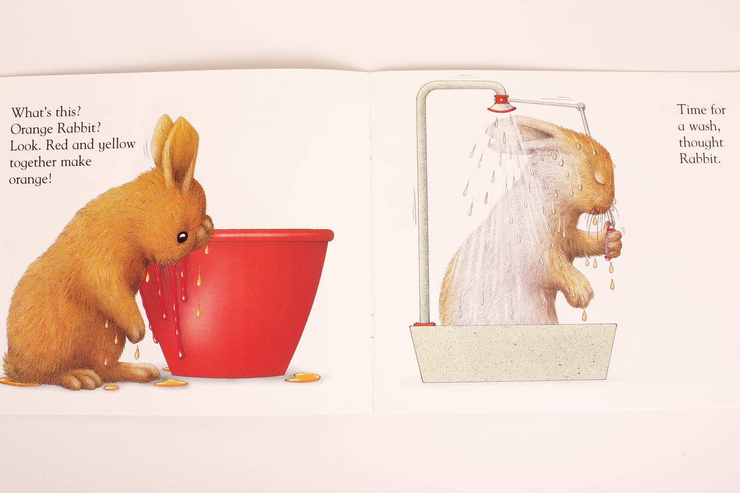 White Rabbit's Color Book