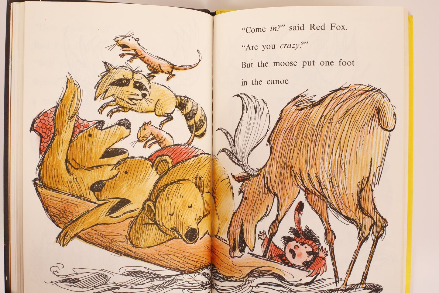 Red Fox and his Canoe