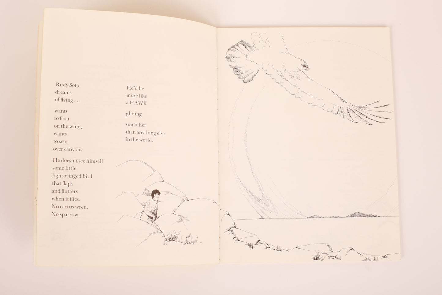 Hawk, I'm Your Brother