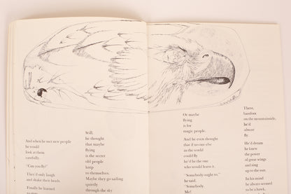 Hawk, I'm Your Brother