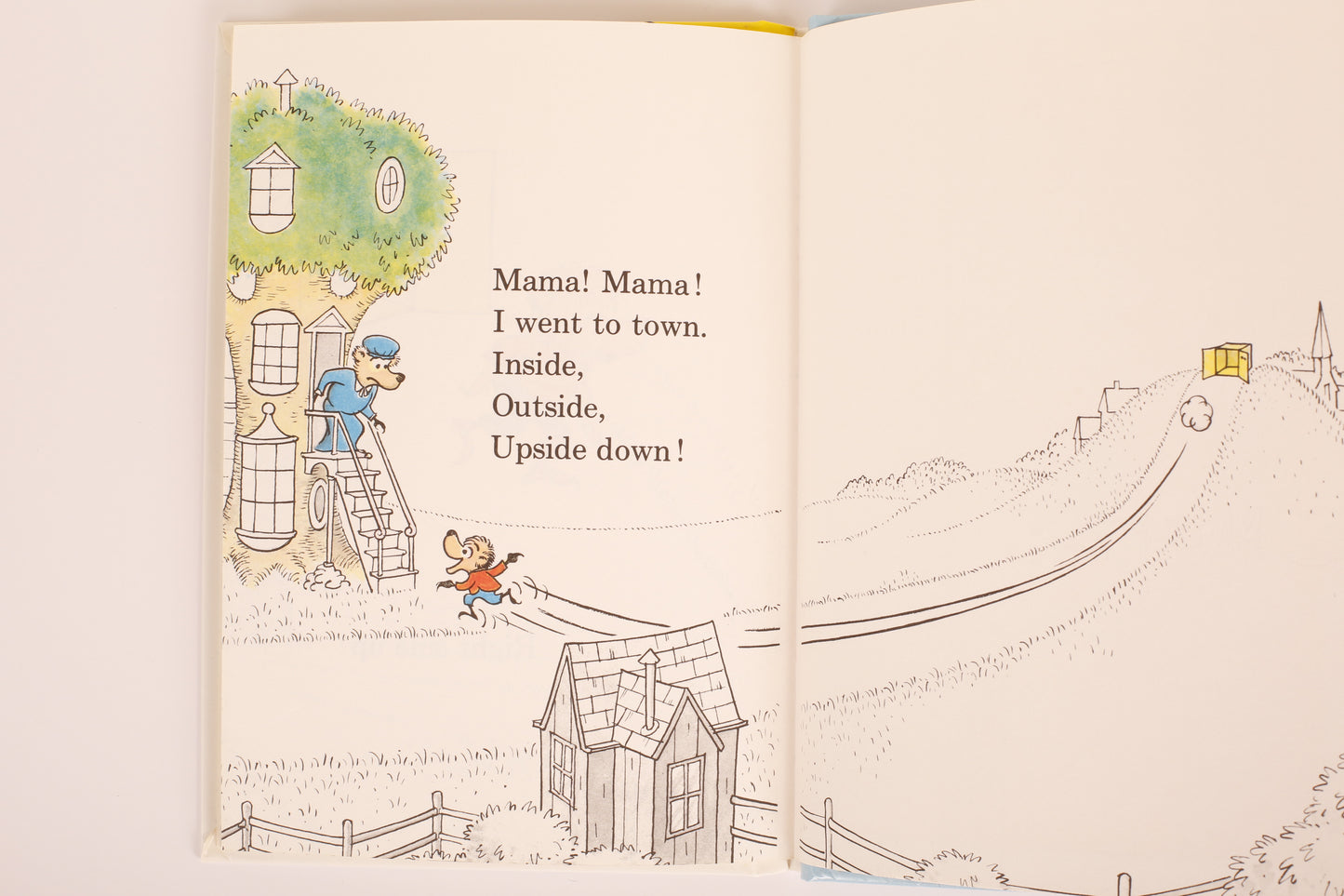 Inside Outside Upside Down