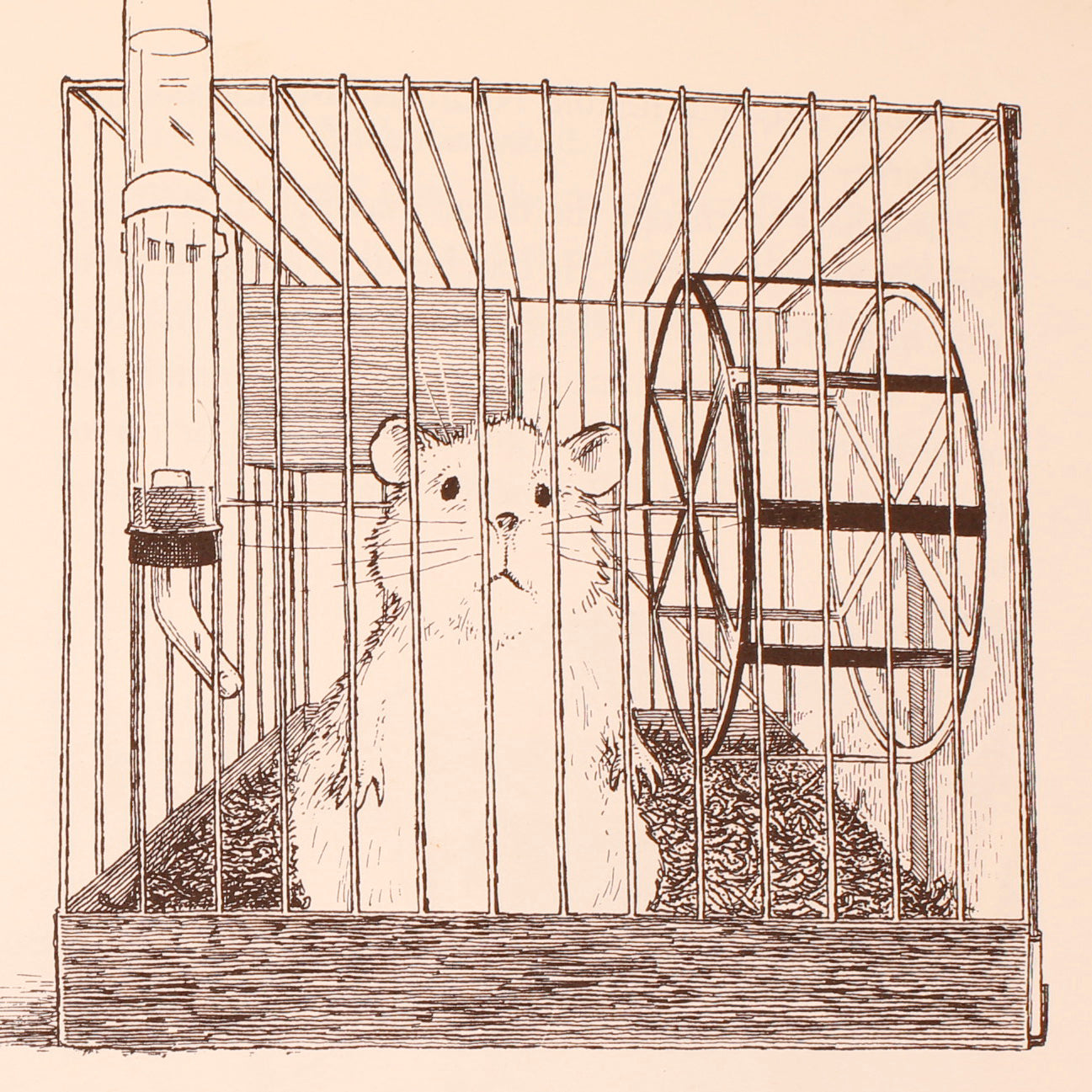 The Great Hamster Hunt