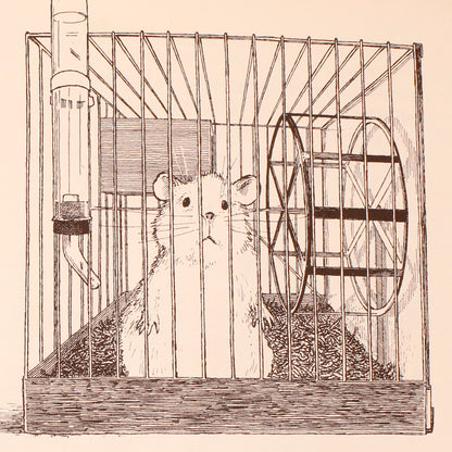 The Great Hamster Hunt