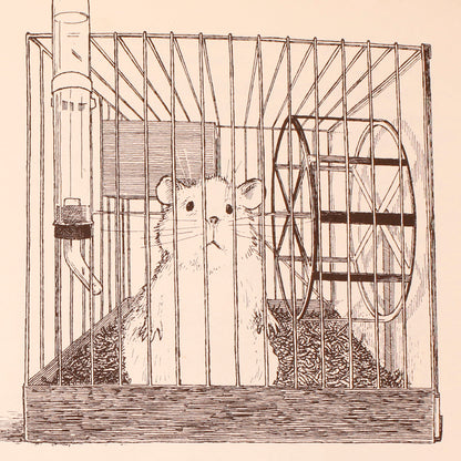 The Great Hamster Hunt