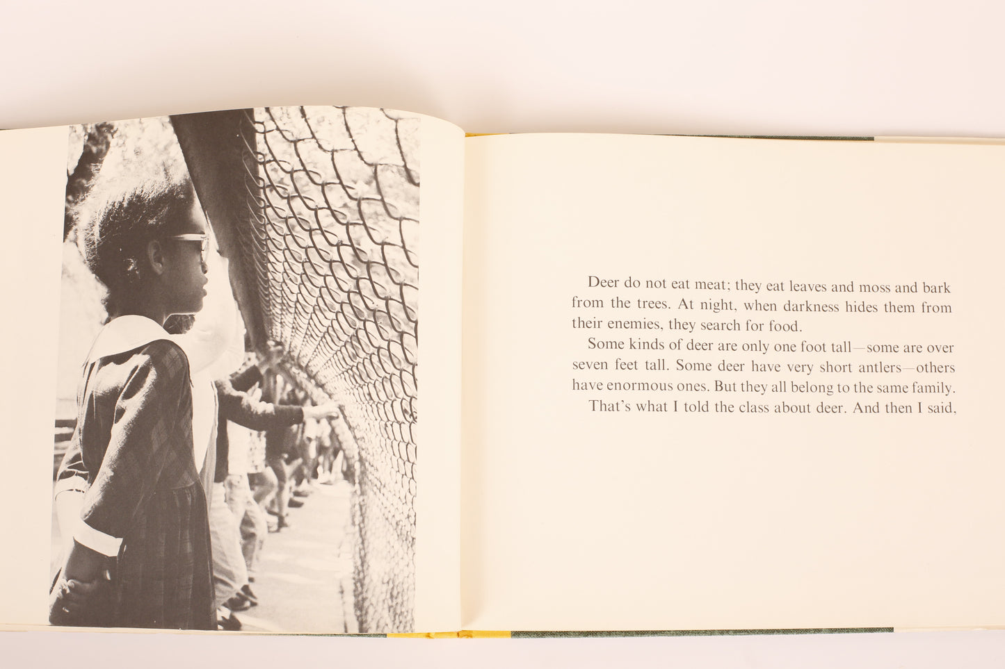 Follow Me, Everybody