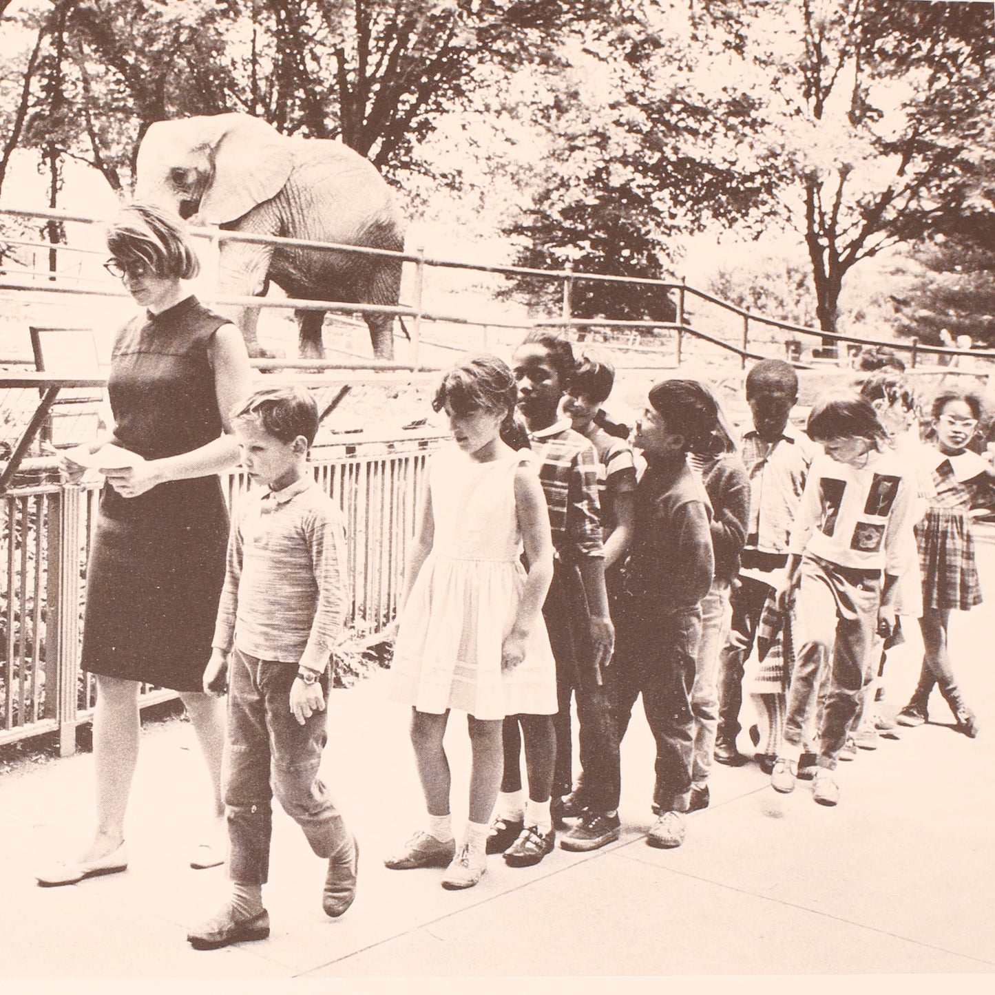 Follow Me, Everybody