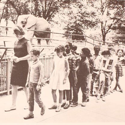 Follow Me, Everybody