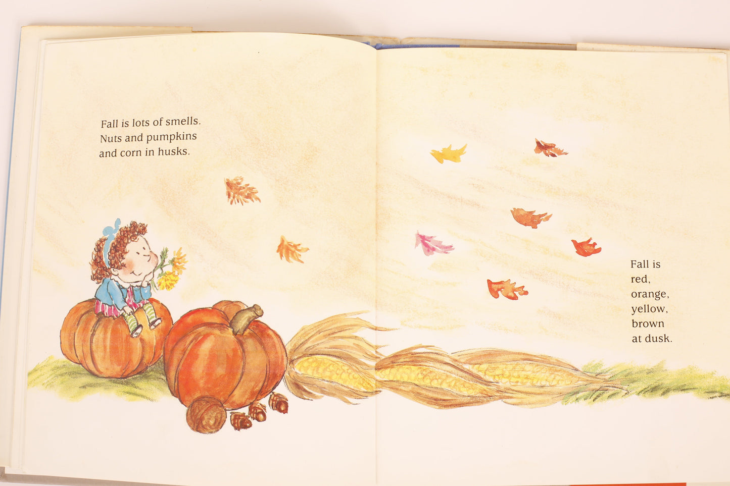 Caps, Hats, Socks, and Mittens