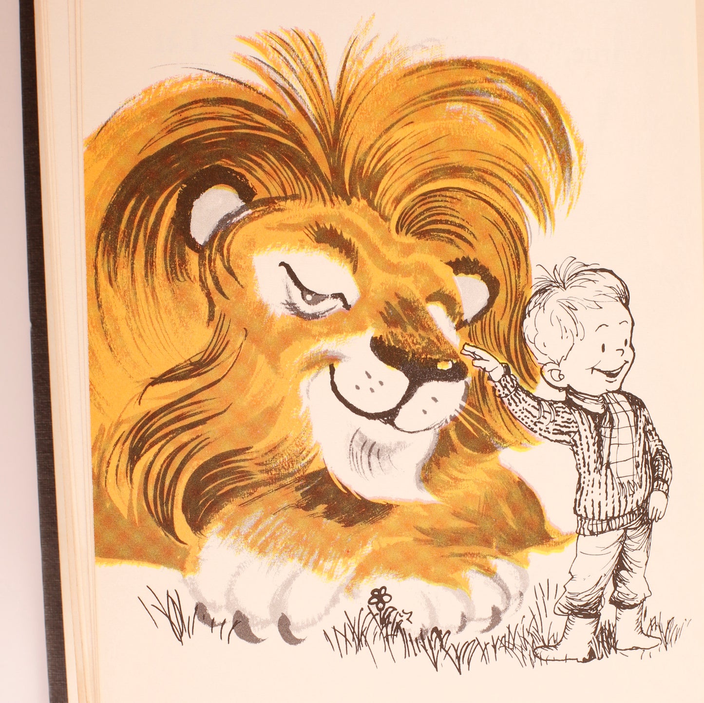 Tell me some more...